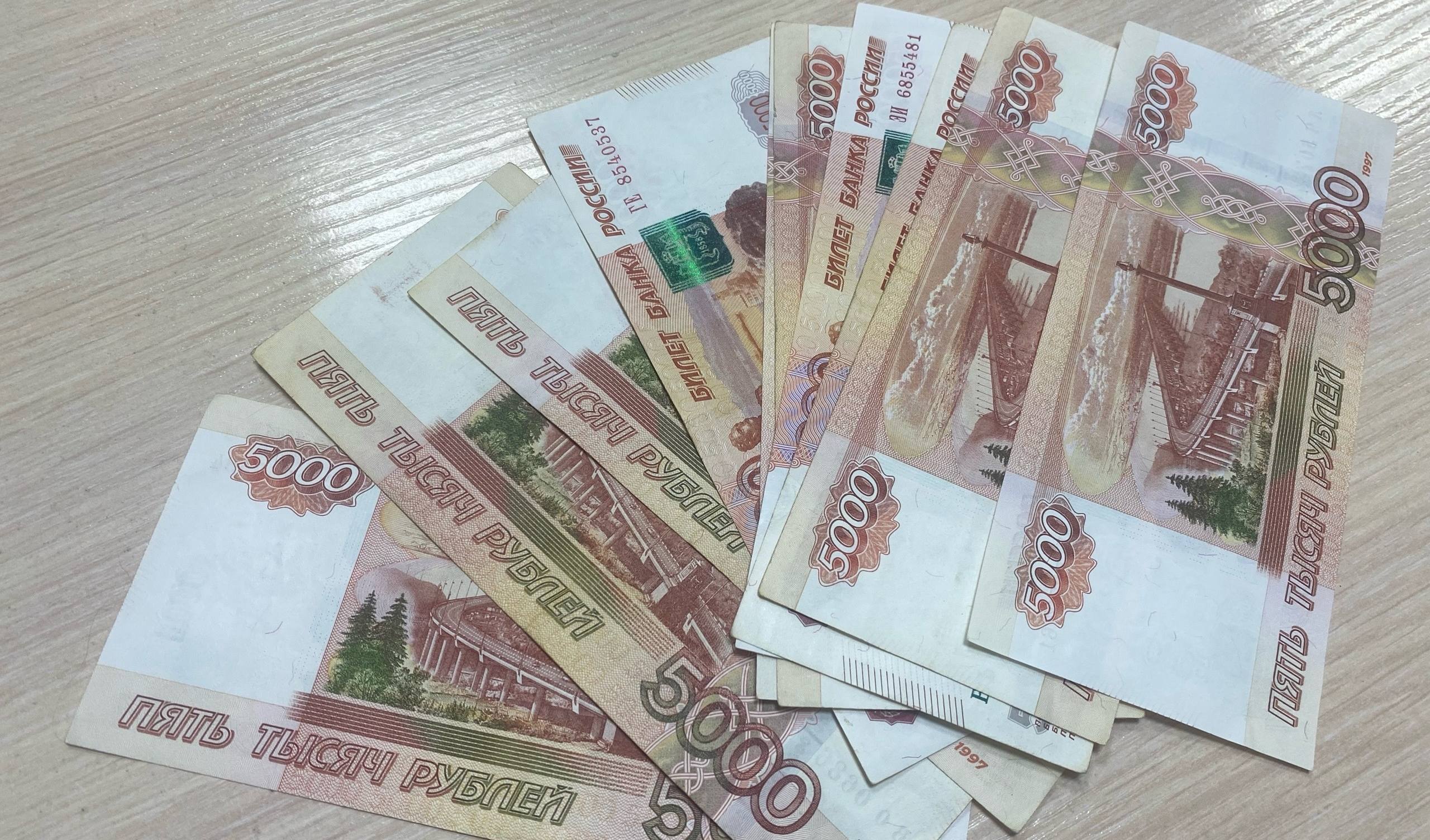 Участниками программы долгосрочных сбережений стали более 29 тысяч жителей Заполярья