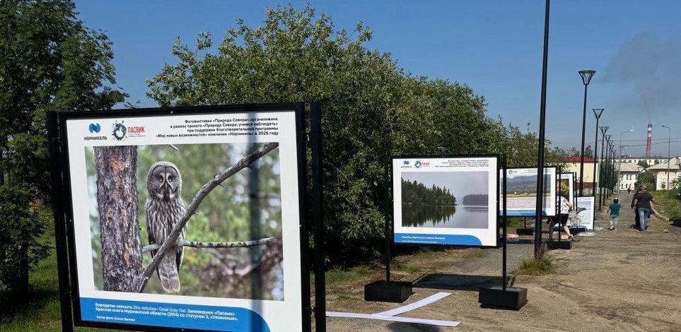 В Никеле открылась уличная фотовыставка «Природа Севера»