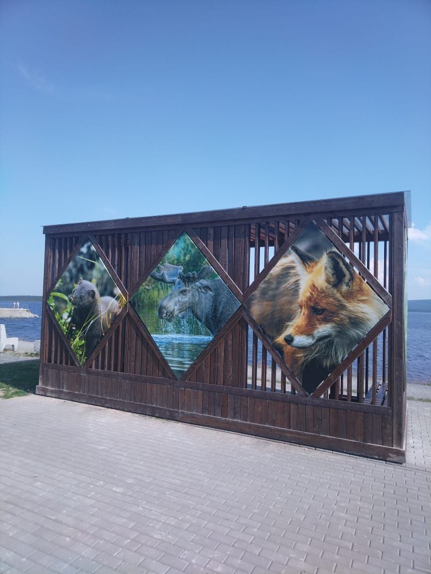 На набережной Имандры беседки стали местом для фотовыставки