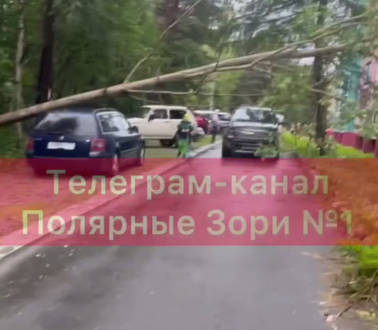 Последствия непогоды: в Мурманске падали деревья, повреждены машины