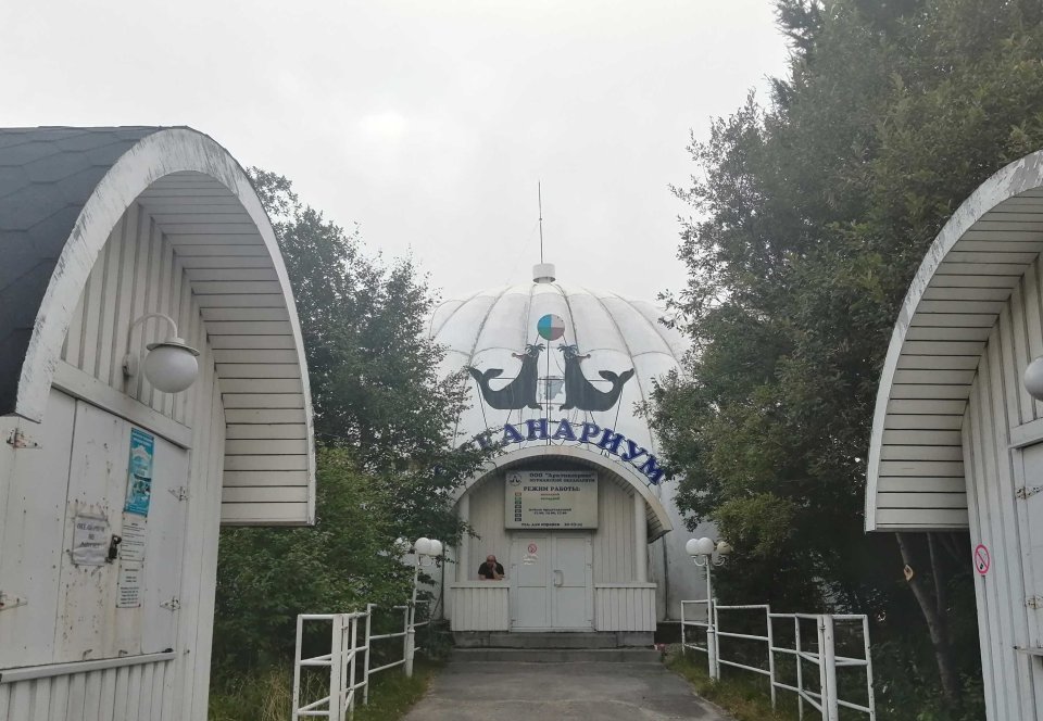 «Сотрудники — не роботы»: Мурманский океанариум с июля остаётся без зарплат
