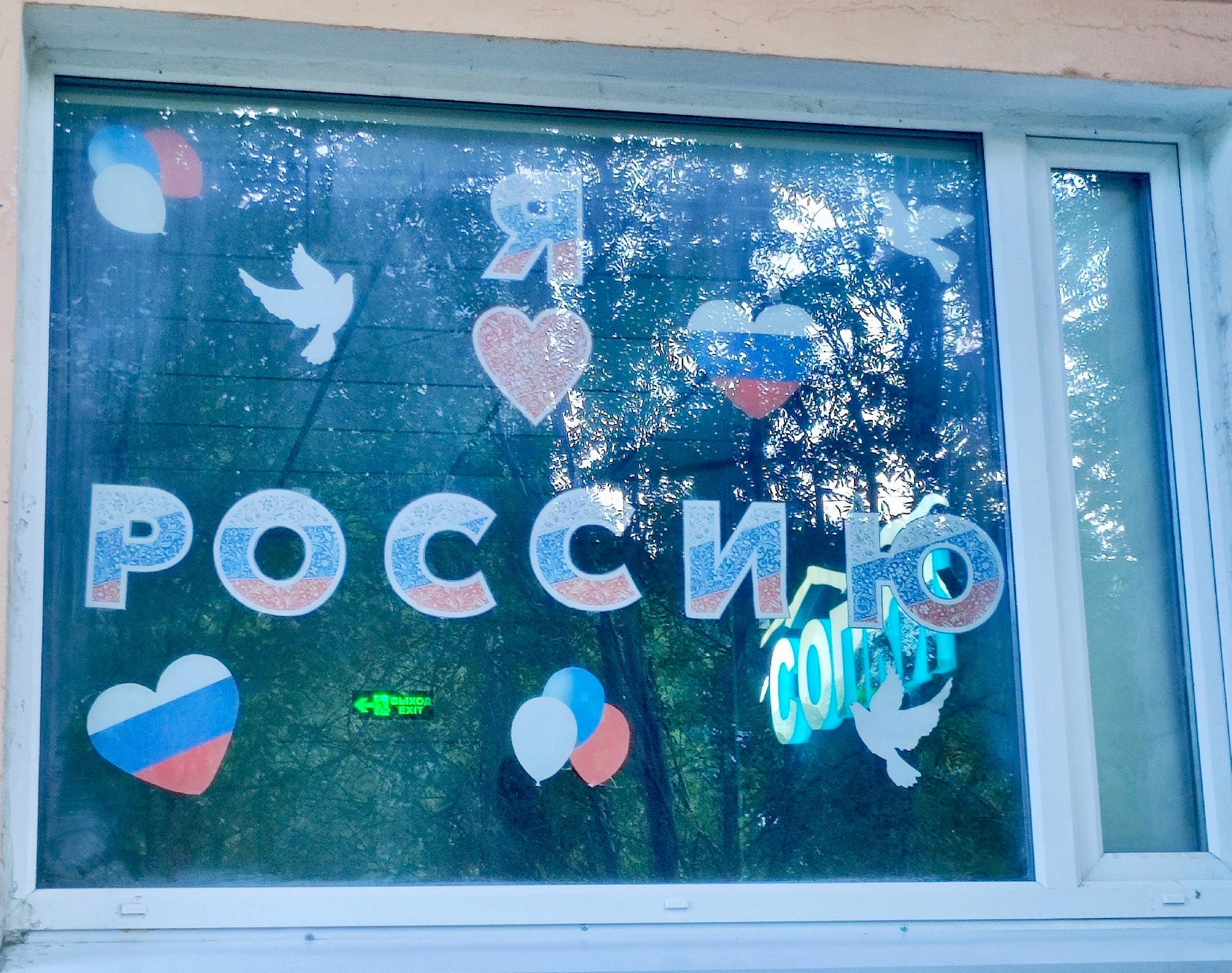Северянам предложили украсить окна триколором ко Дню флага