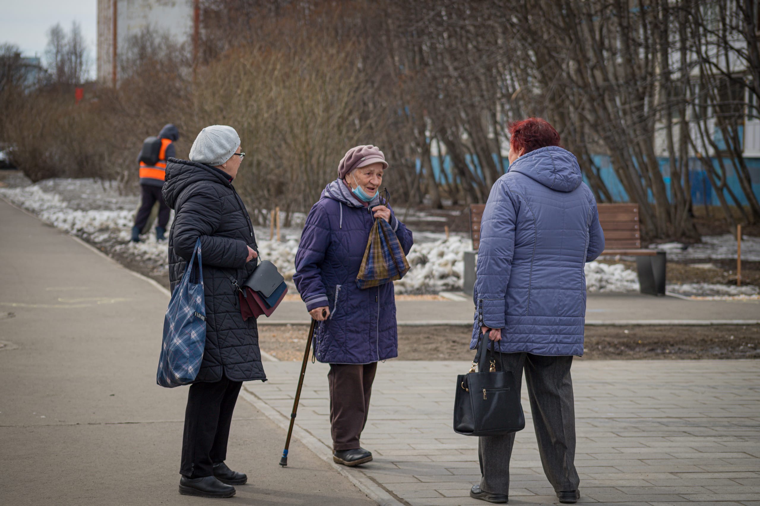 Во дворе Оленегорска доберман покалечил 80-летнюю женщину — хозяин пса ответит в суде