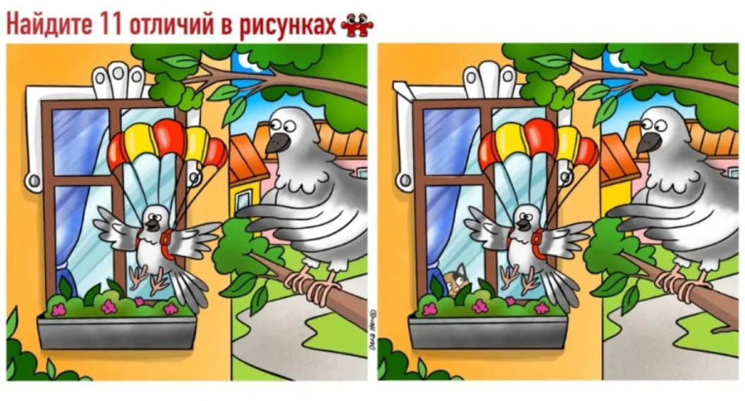Свободу птицам — и логике: найдите 11 отличий на картинке, чтобы проверить свою внимательность