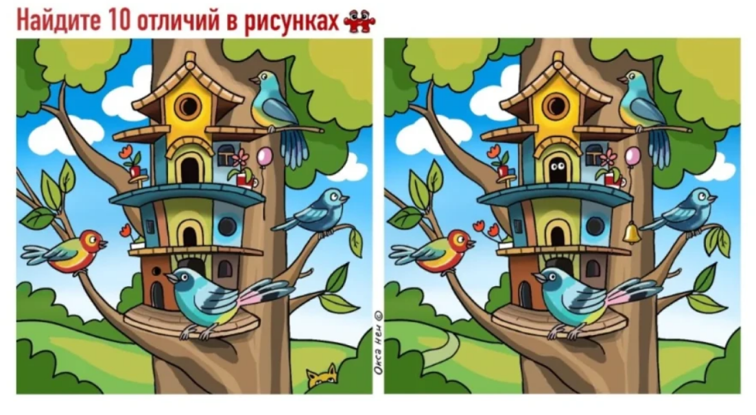 Птичка в клетке: найдите 10 отличий на картинках — только самые внимательные справятся с заданием