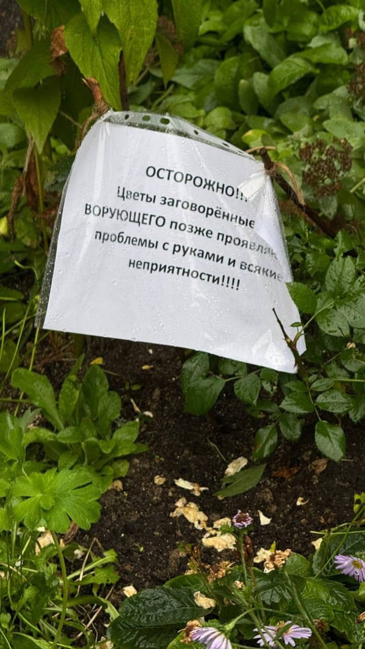 Во дворе Апатитов садоводы угрожают вандалам порчей на несчастье