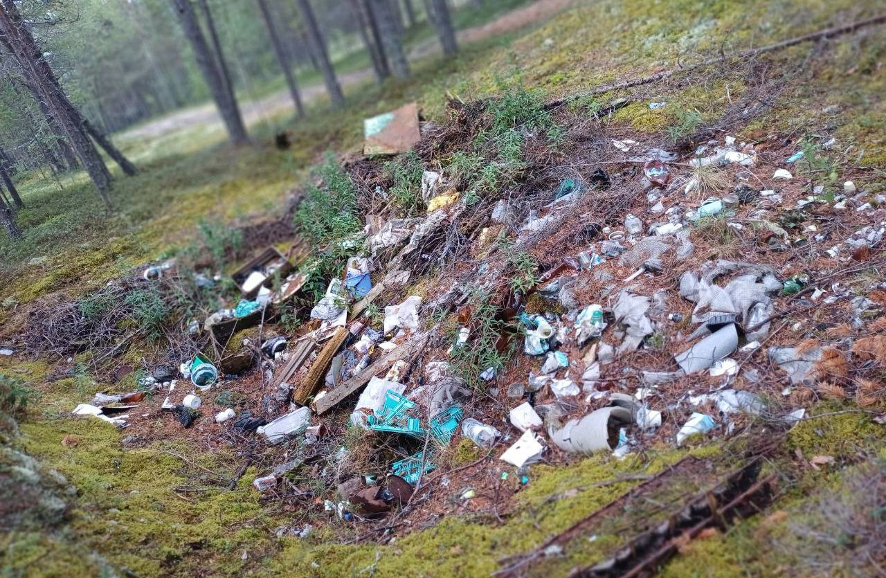 В лесу под Кандалакшей обнаружили огромную свалку