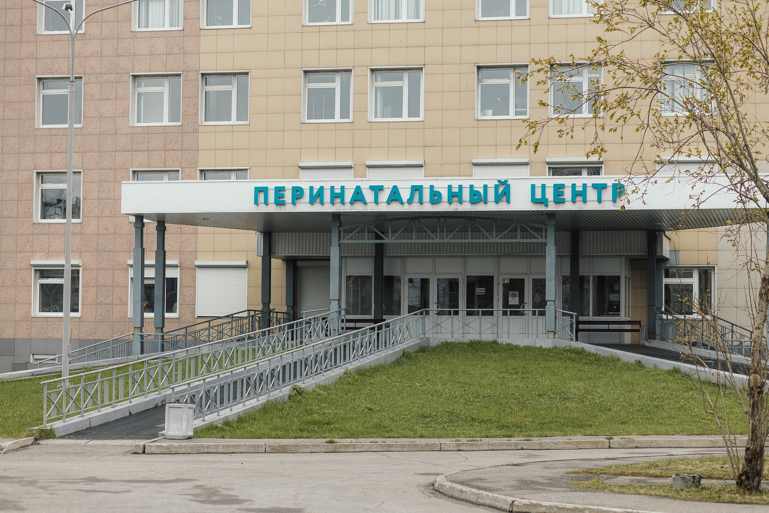 С начала года процедуру ЭКО в Мурманской области прошли 456 женщин