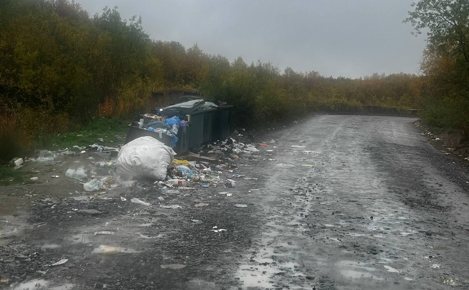 Отворотка к Рыбачьему встречает туристов переполненными баками и разлетевшимся мусором