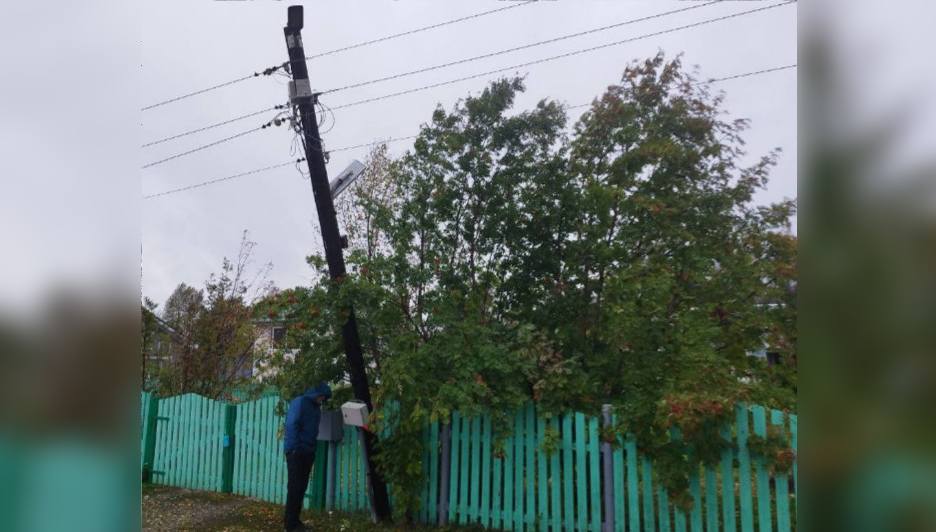 «Пока не произошло худшее»: в Кильдинстрое поваленные деревья висят на проводах и кустах