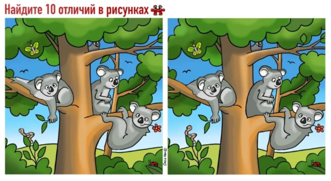 Сели и свесили ножки — а надо трудиться: найдите 10 отличий на картинке, чтобы подтвердить свой высокий IQ
