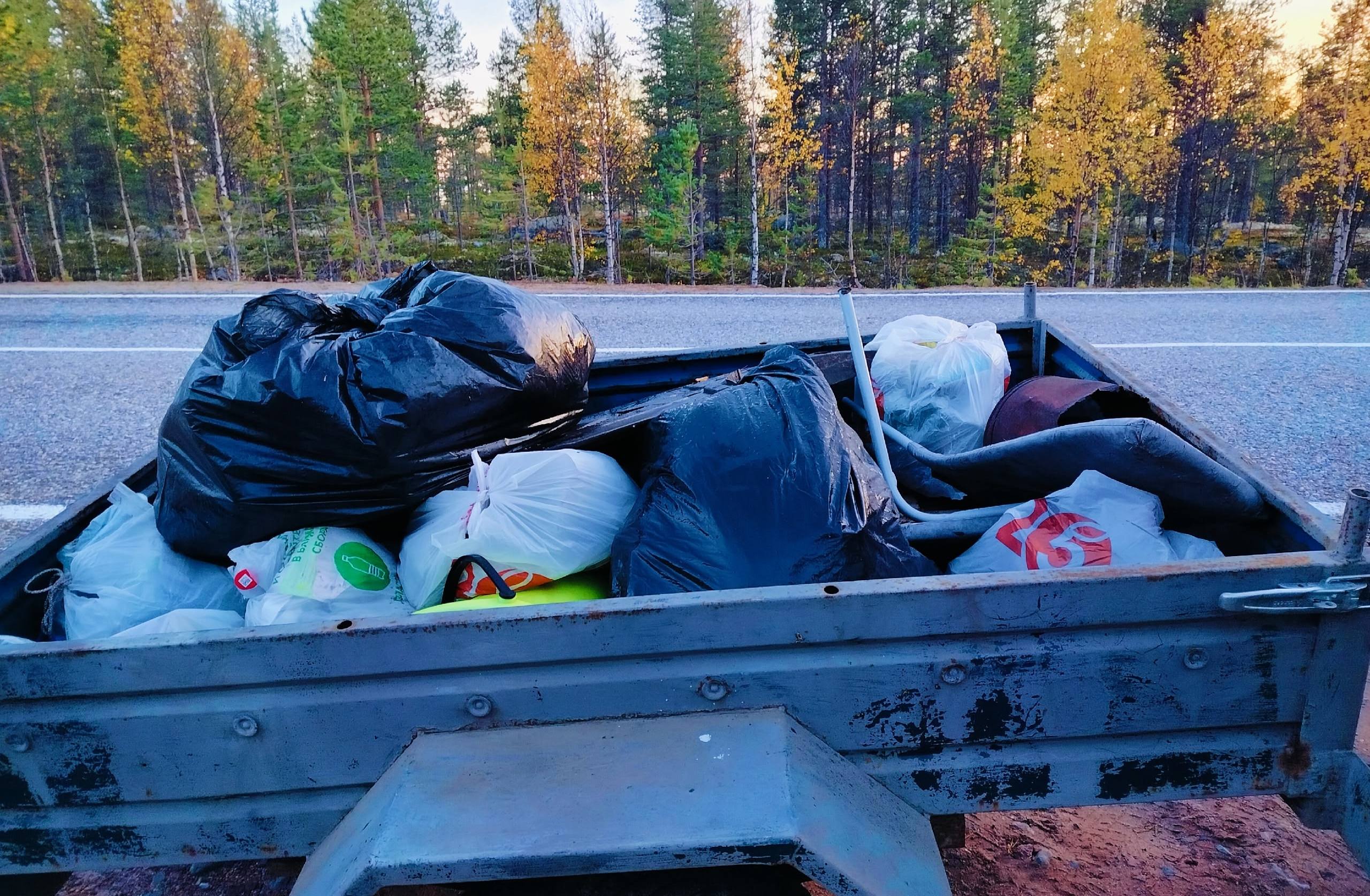 Пластик, стекло и самодельные туалеты: в лесу под Умбой собрали 20 мешков мусора