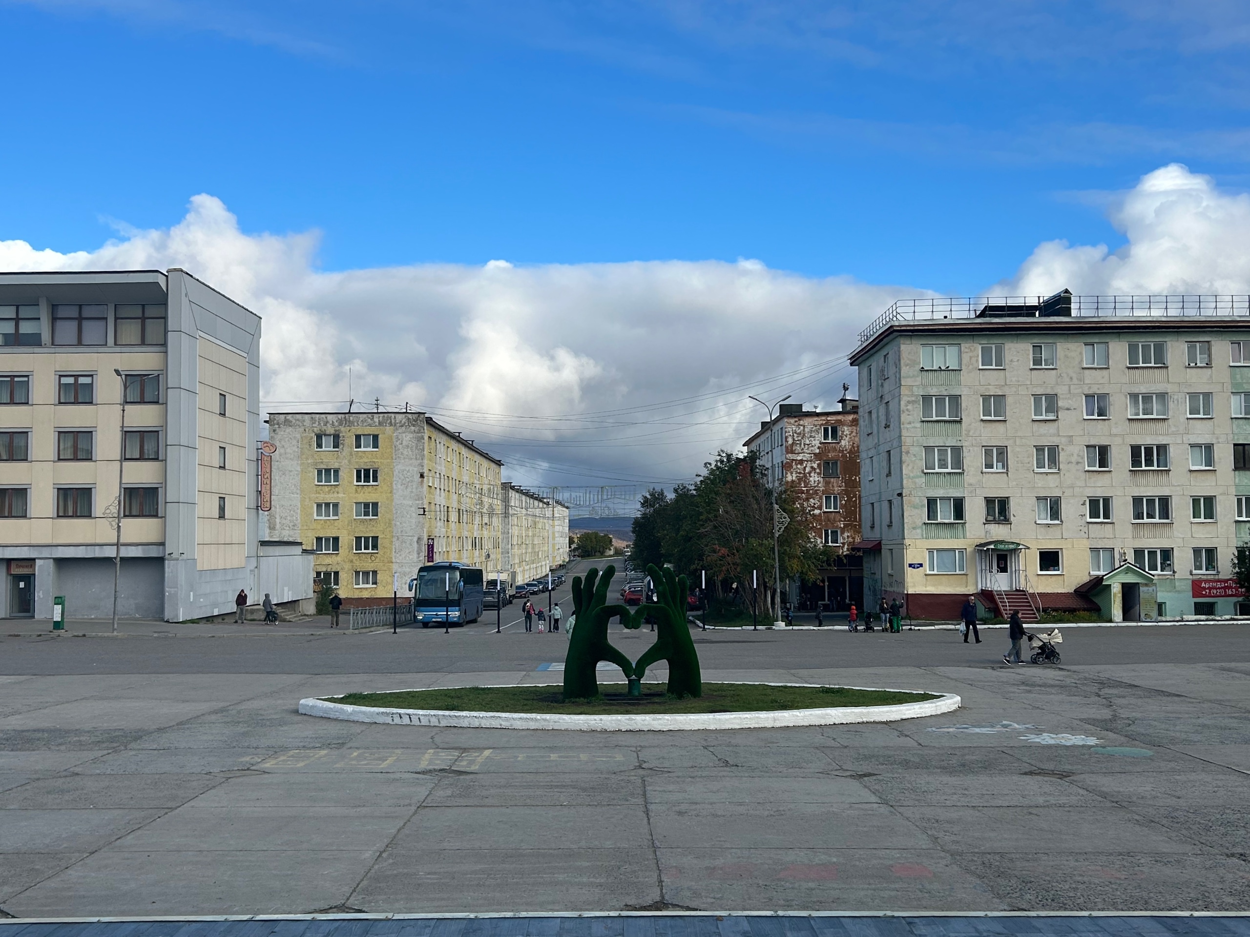 Возле телевышки в Заполярном заметили медведя