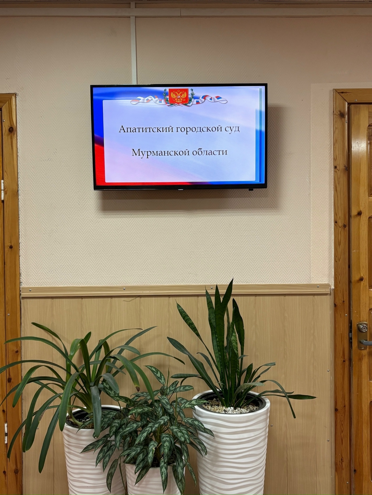 «Сначала удивились, потом заинтересовались»: в суде Апатитов посетителей встречает телевизор
