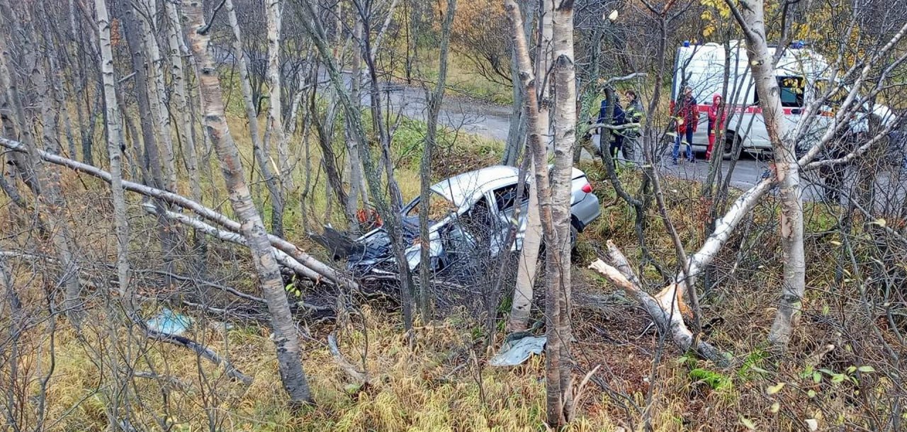 Под Североморском Toyota вылетела в кювет и перевернулась — водитель погиб на месте