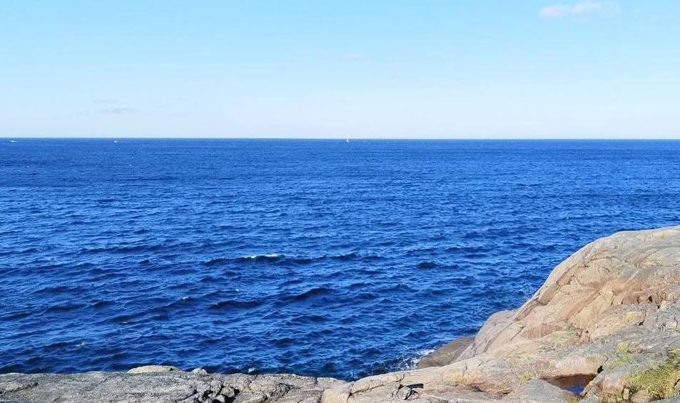 Эксперт по морским млекопитающим Анастасия Куница 17 октября проведет встречу с гидами в Мурманске