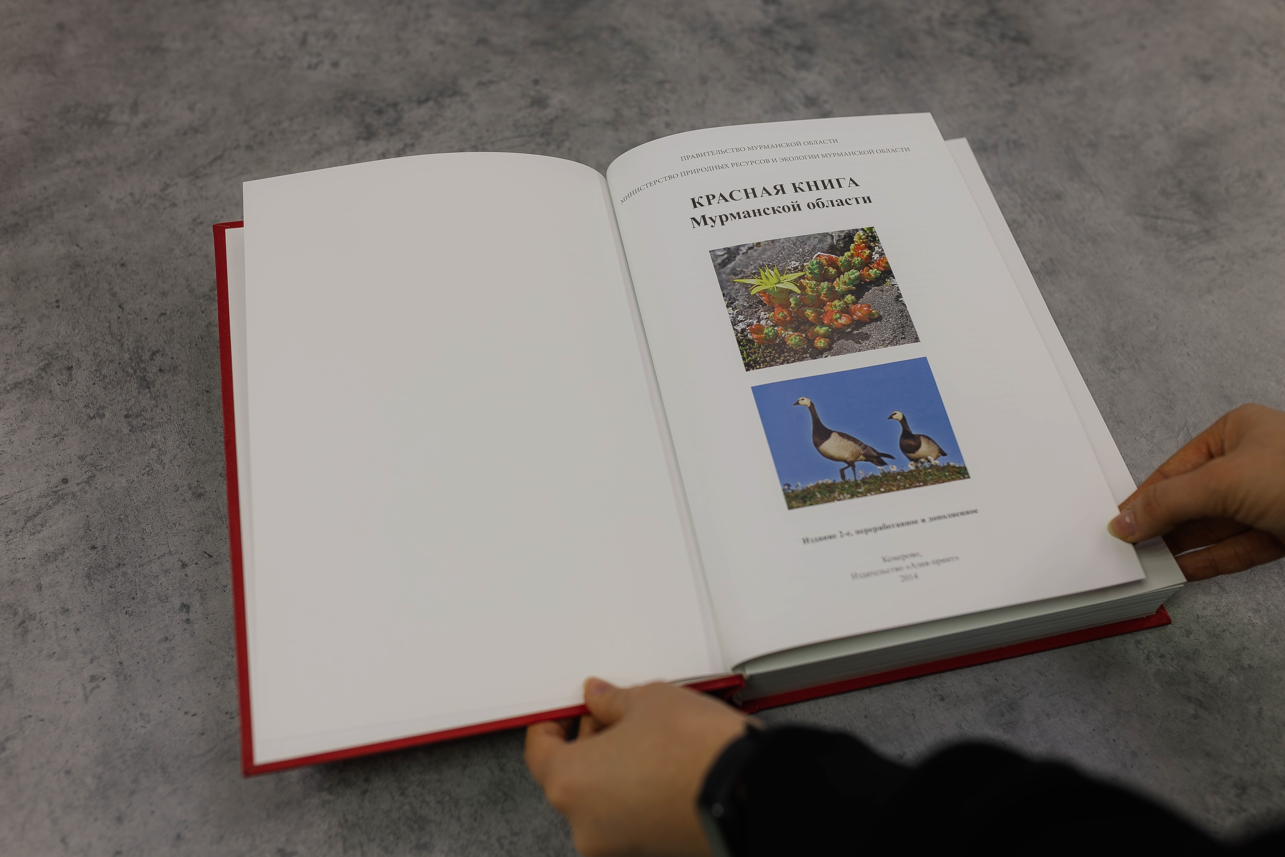 Художники представят Красную книгу Мурманской области в «портретах» редких растений