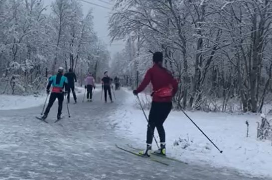 В Кировске лыжники и пешеходы никак не могут поделить парк