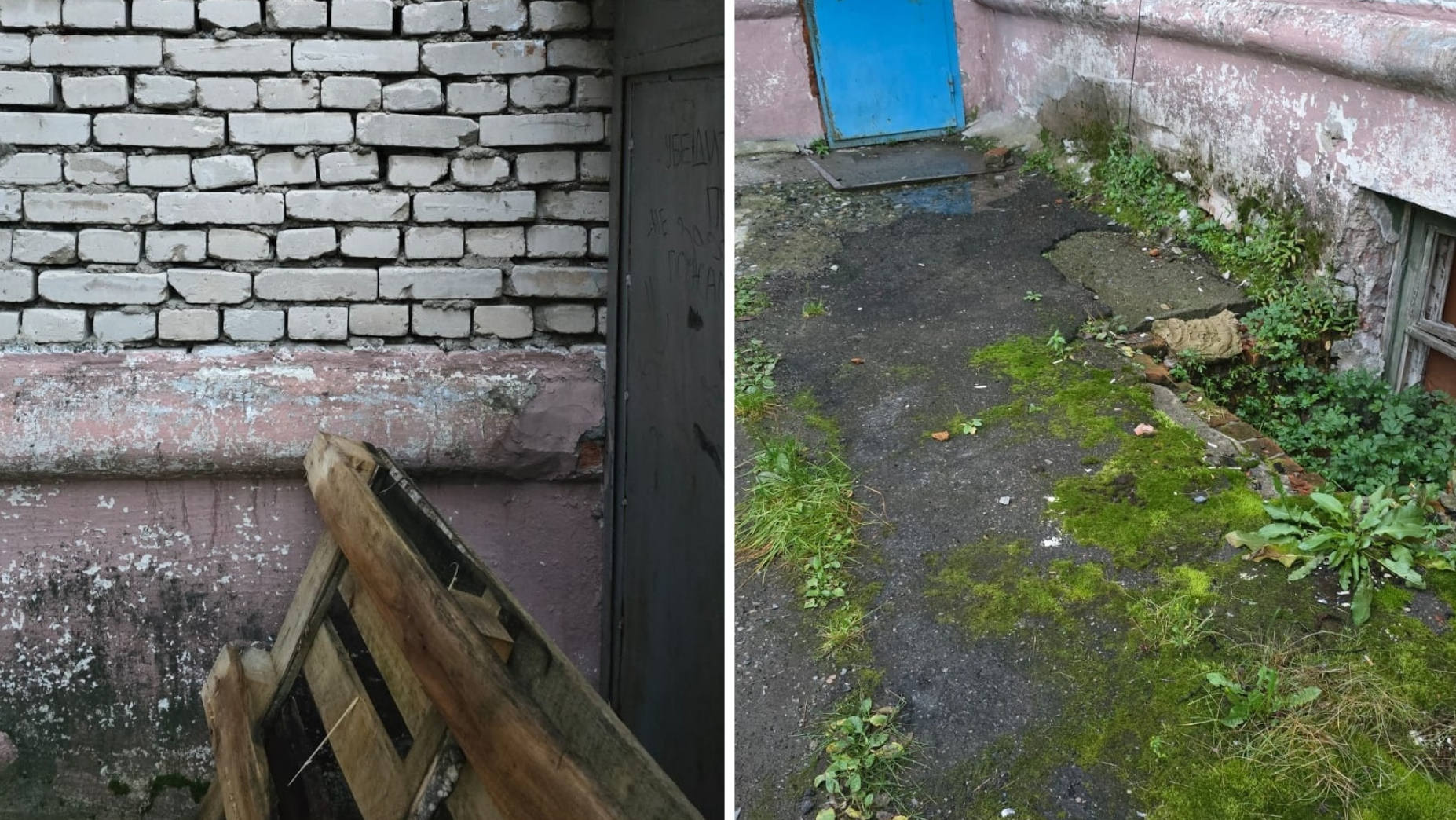 «Покрыт мхом, кирпичи гуляют»: жителей Апатитов тревожит состояние многоквартирного дома