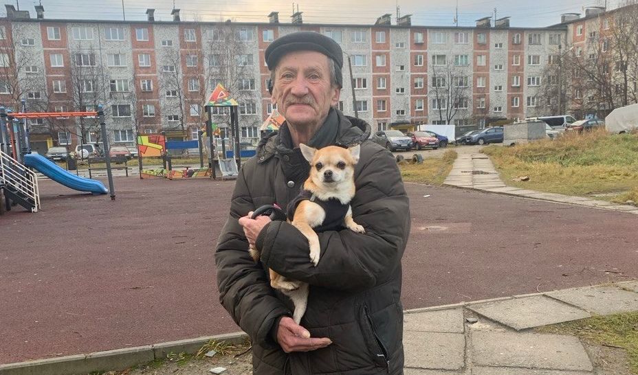 В Кандалакше веткомиссия искала собак возле детских площадок — «нарушителем» оказался чихуахуа