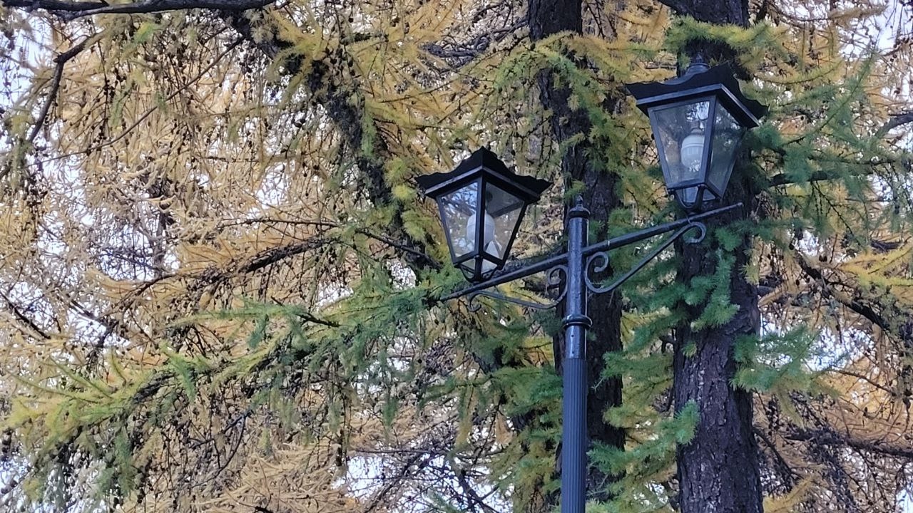 Фонари у трапа к новому бассейну в Североморске обещают подключить к концу года