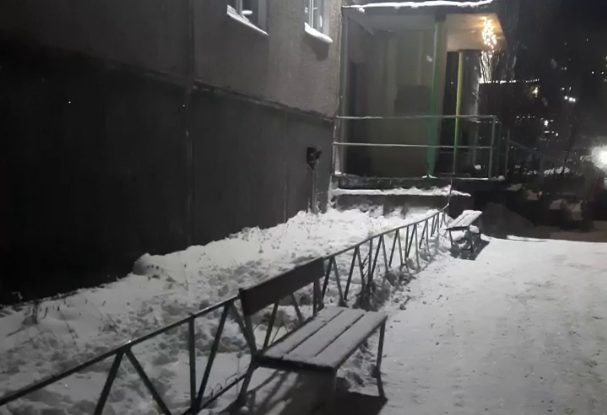 «Жители первых этажей скоро сойдут с ума»: в Североморске заварили дверь в подвал, где воют собаки