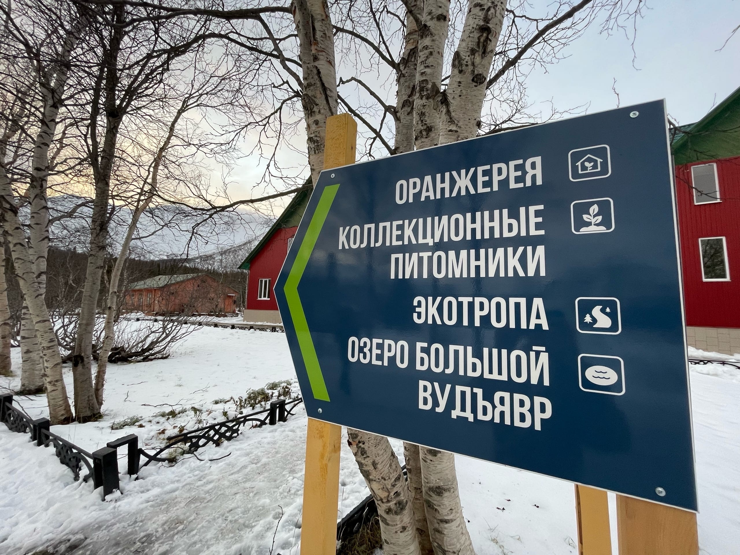 «Позволить себе хоть немного побыть ребенком»: новогодние каникулы предлагают провести в Ботсаду Кировска