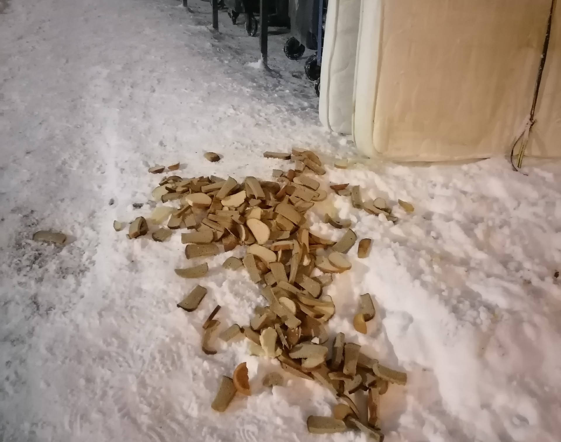 «Не надо делать помойку из города»: в Апатитах неизвестные разбрасывают возле мусорных контейнеров килограммы хлеба