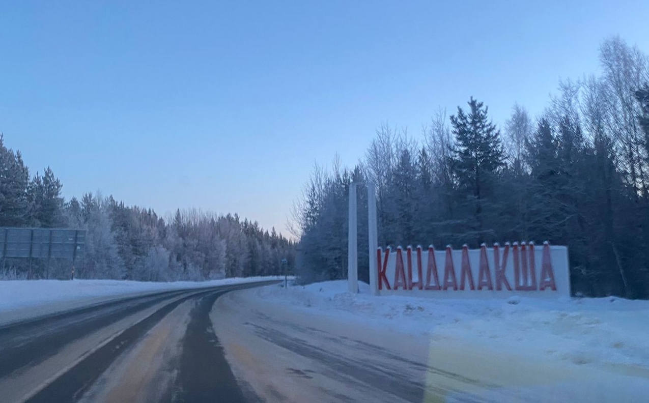 «Заставим восстановить»: в Кандалакше рубят деревья возле школы — горожане в гневе
