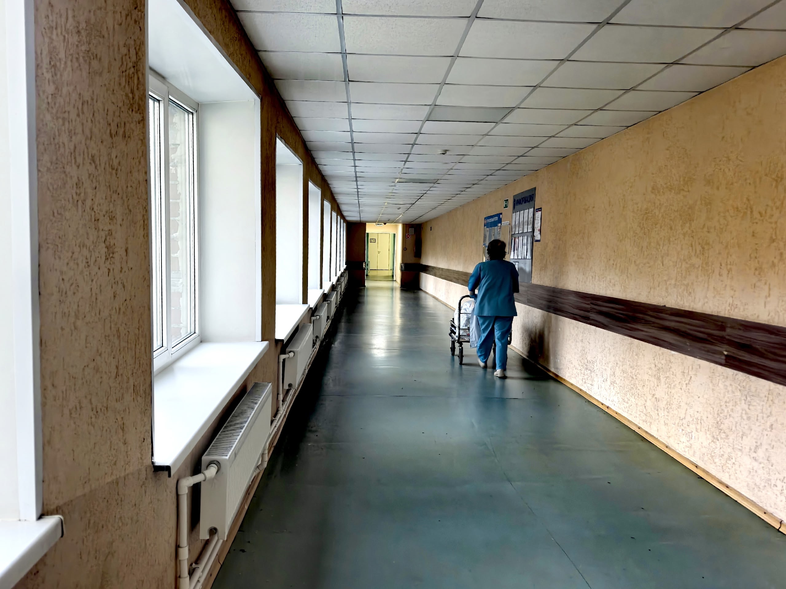 В Умбе домашний пес впился в ногу мальчика — хозяин заплатит 30 тыс. рублей