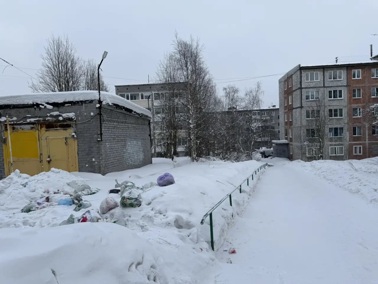 В Ковдоре жильцы завалили мусором палисадник по пути в супермаркет