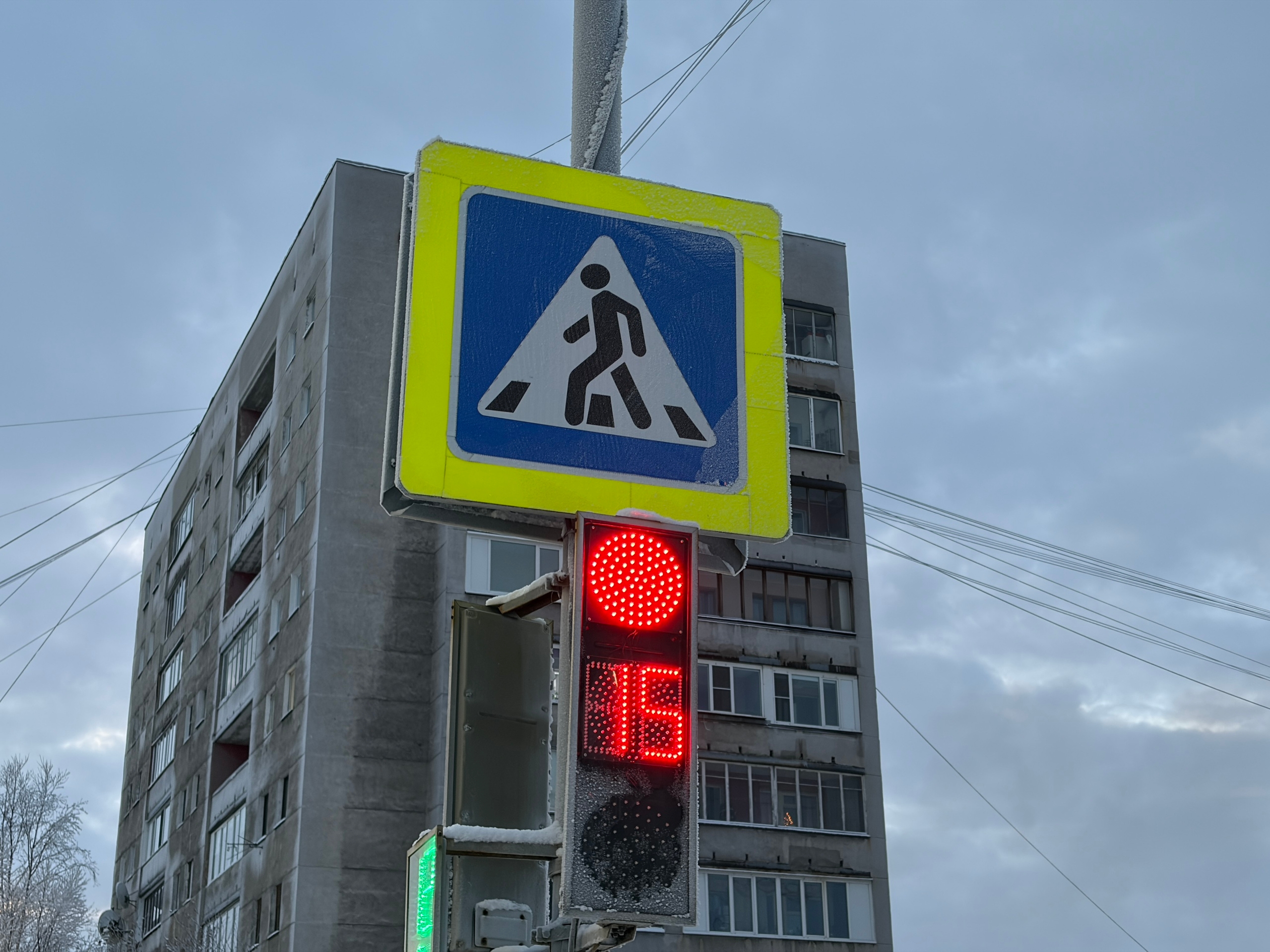 «За детей страшно всегда»: пешеходов в Североморске пугают водители, несущиеся на красный