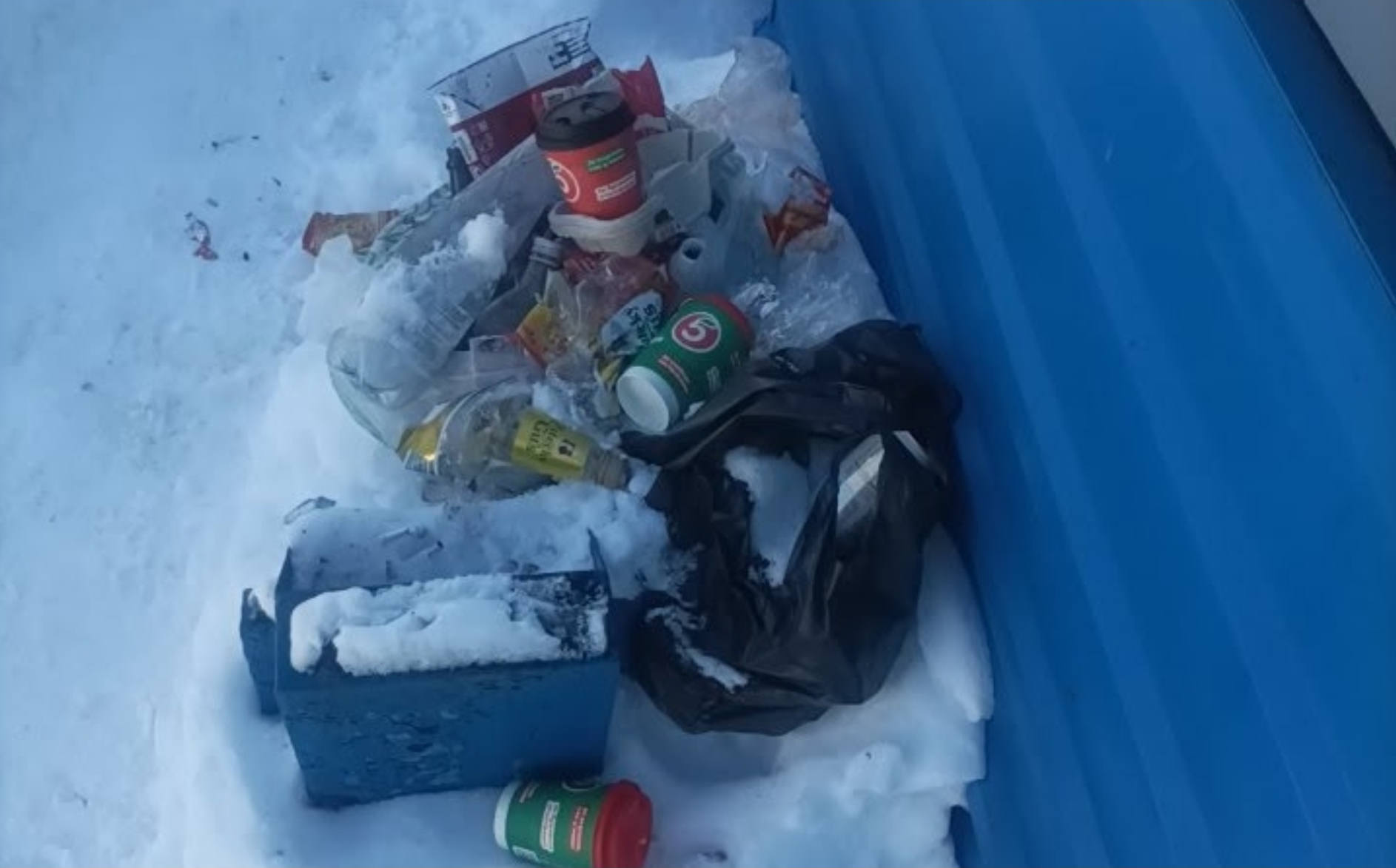 «Лень до баков дойти?»: в Полярном на остановку Героев Тумана подбрасывают пакеты с мусором