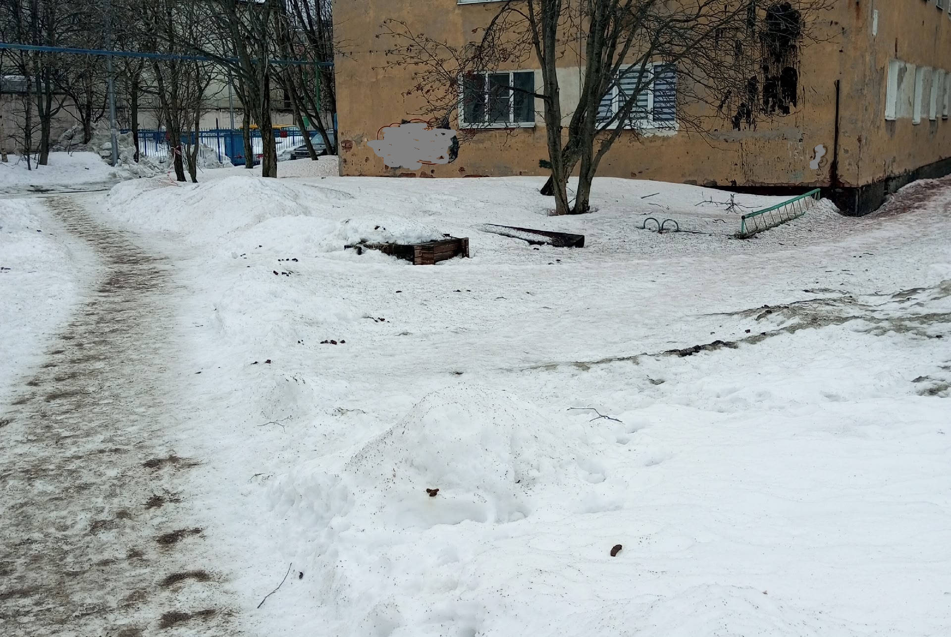 «Каждый шаг — мины»: в Коле весенние «подснежники» заставили северян требовать штрафов для собачников