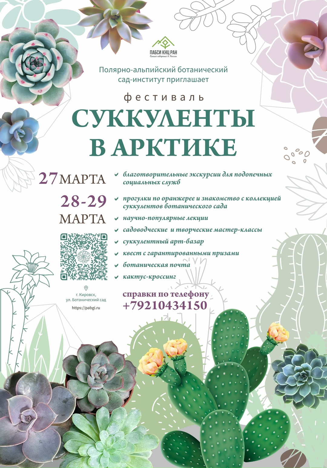 Кактусы против снега: в Кировске 27 марта стартует фестиваль «Суккуленты в Арктике» с арт-базаром и квестами
