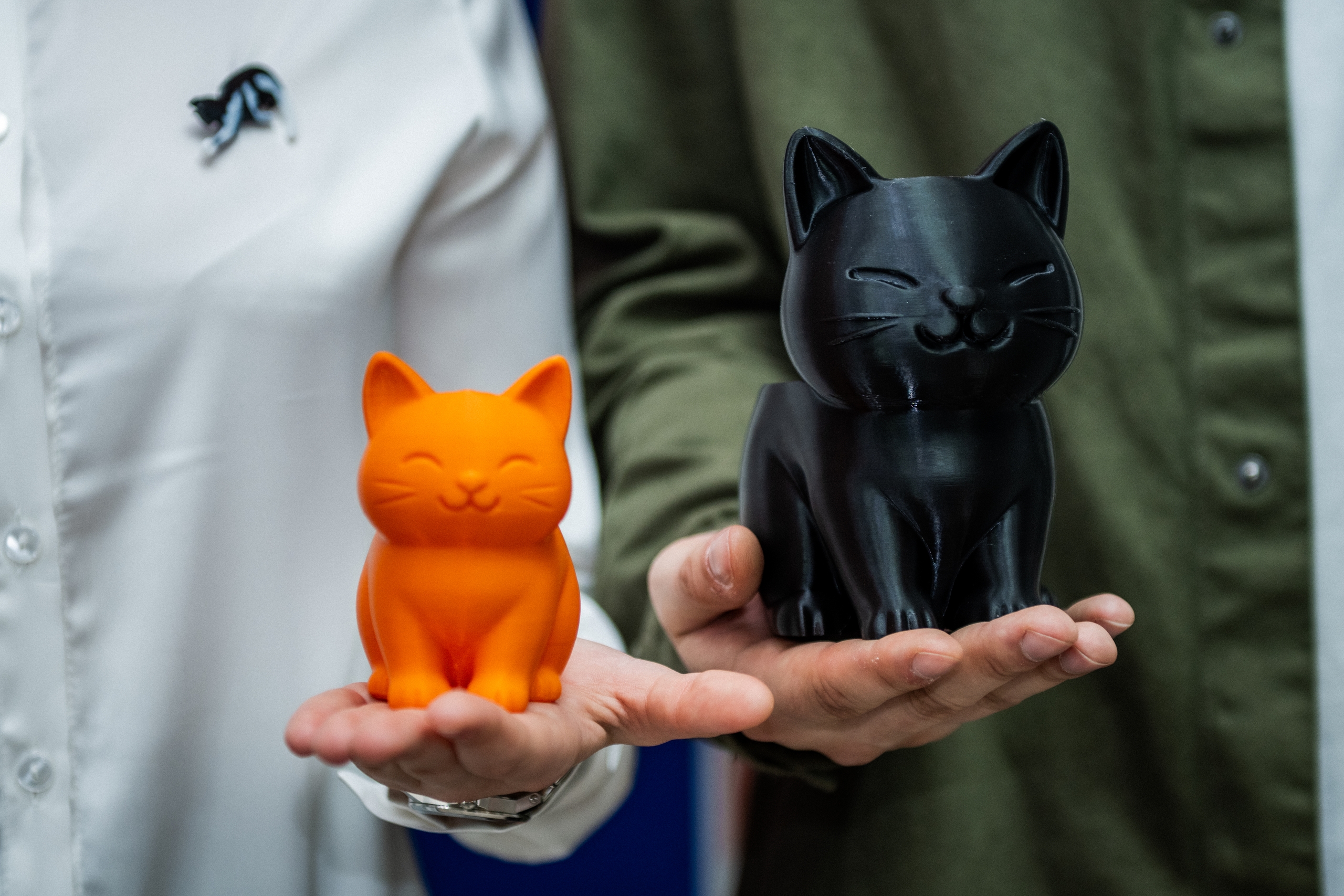 «Тюльпановые котики» из 3D-принтера: в Мончегорске студенты запустили необычный экопроект