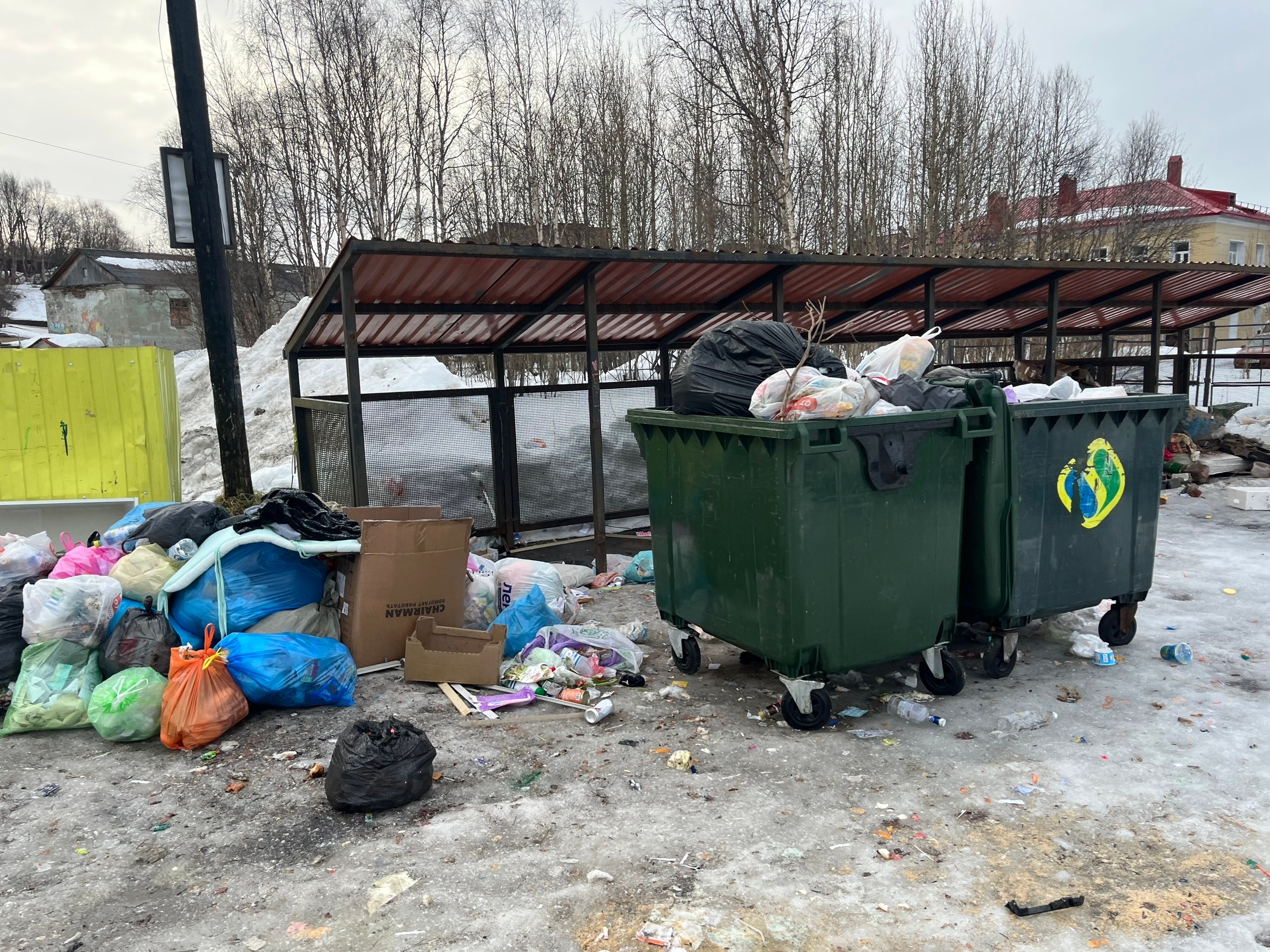 Долго будем разводить крыс?: в Кильдинстрое просят добавить мусорные баки для двух больших домов