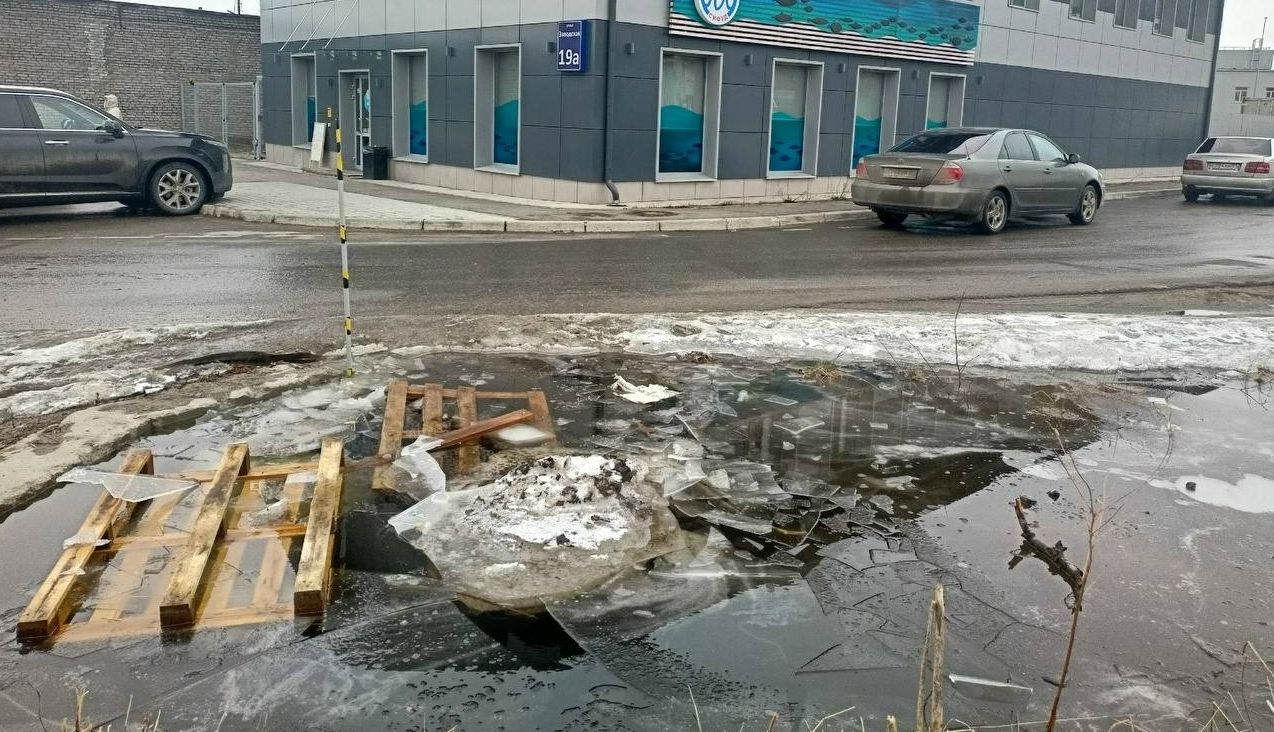 В Коле собака едва не утонула в «бездонной» луже: прохожий спас животное, провалившись по грудь в яму