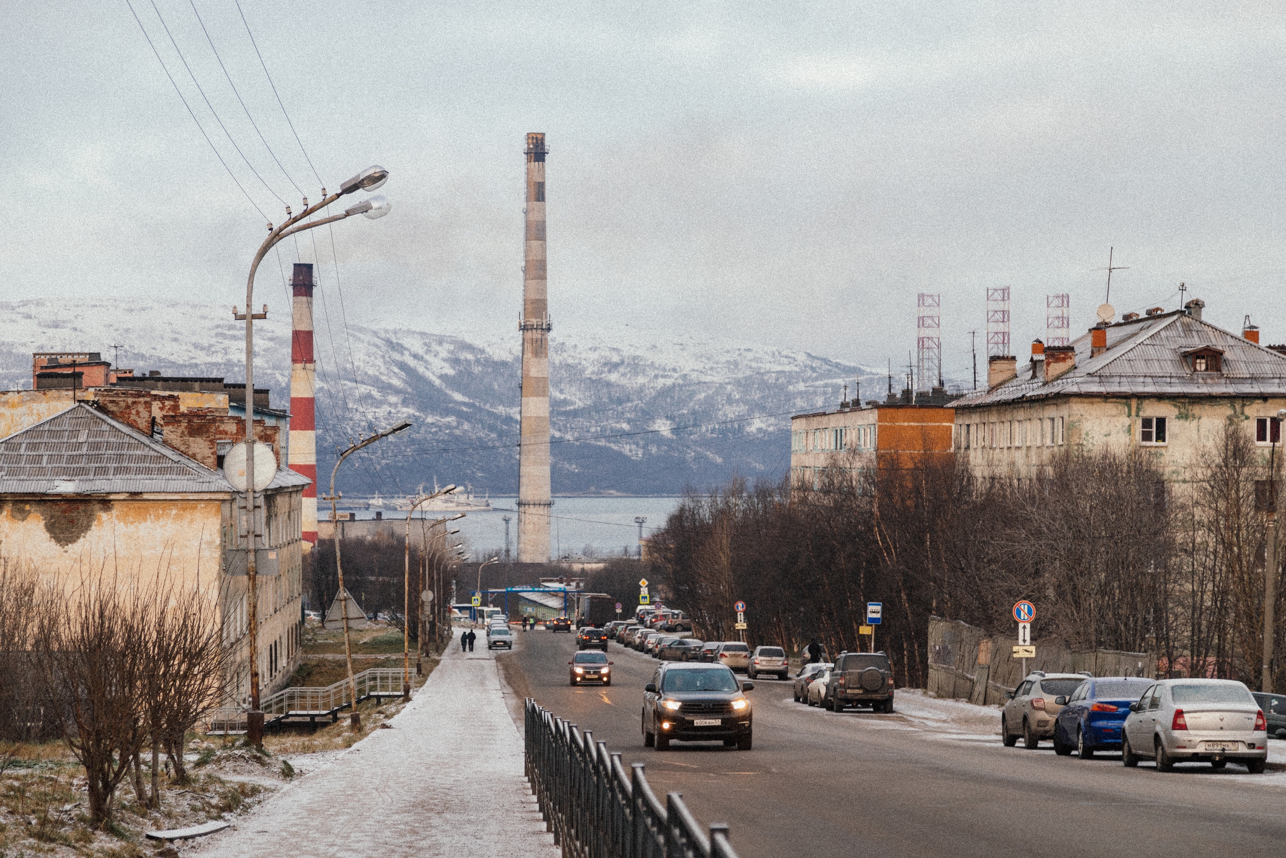 «Мы всё еще ждем чуда»: в Мурманске месяц ищут пропавшего пуделя за вознаграждение в 50 тысяч