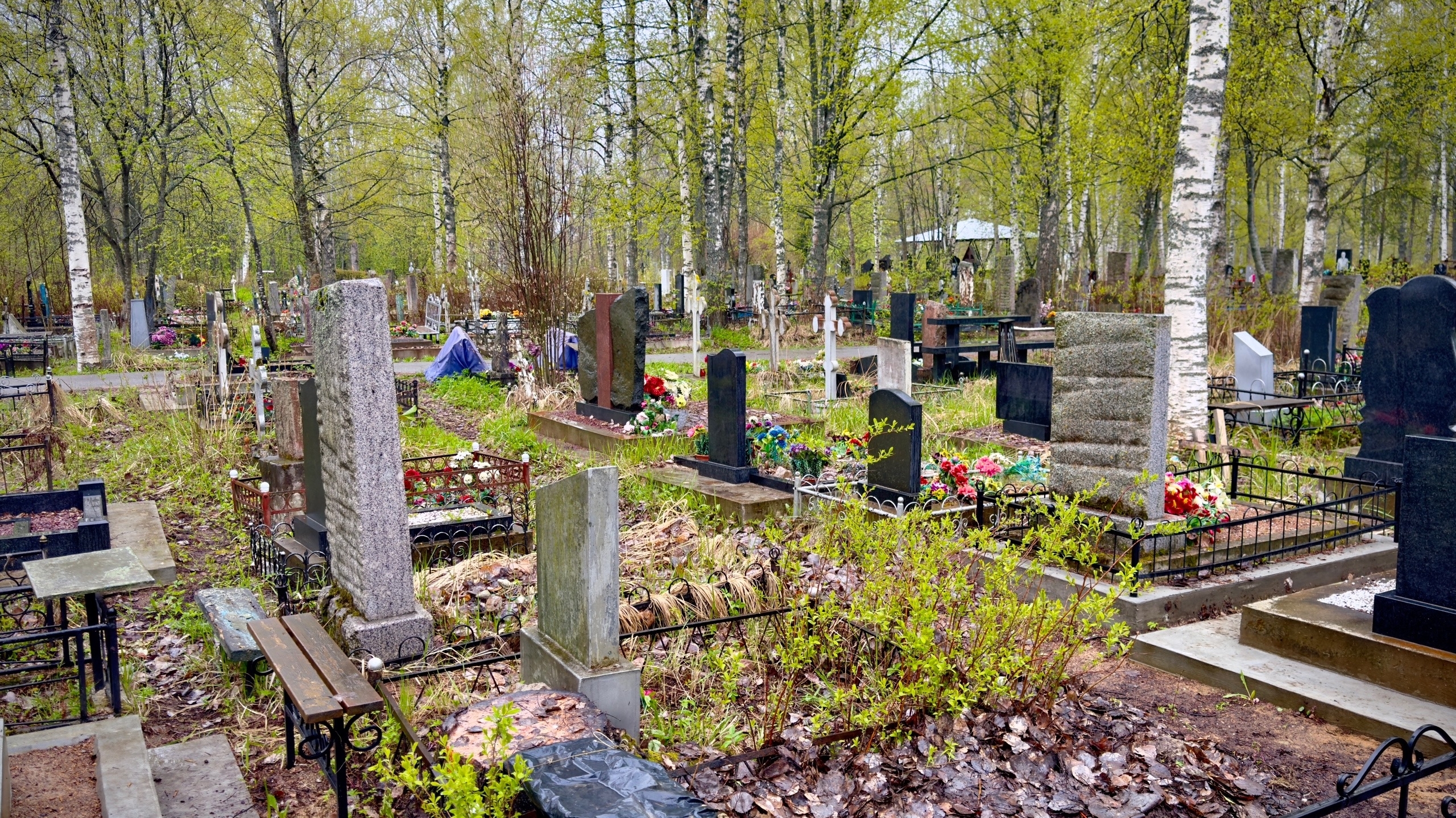 «Могильные венки и старая ванна»: под Кильдинстроем устроили жуткую свалку рядом с памятником