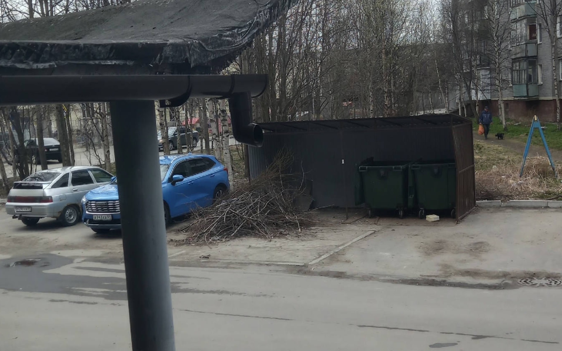 «Надоело любоваться на свалки»: в Оленегорске контейнерные площадки уже полмесяца завалены кучами веток
