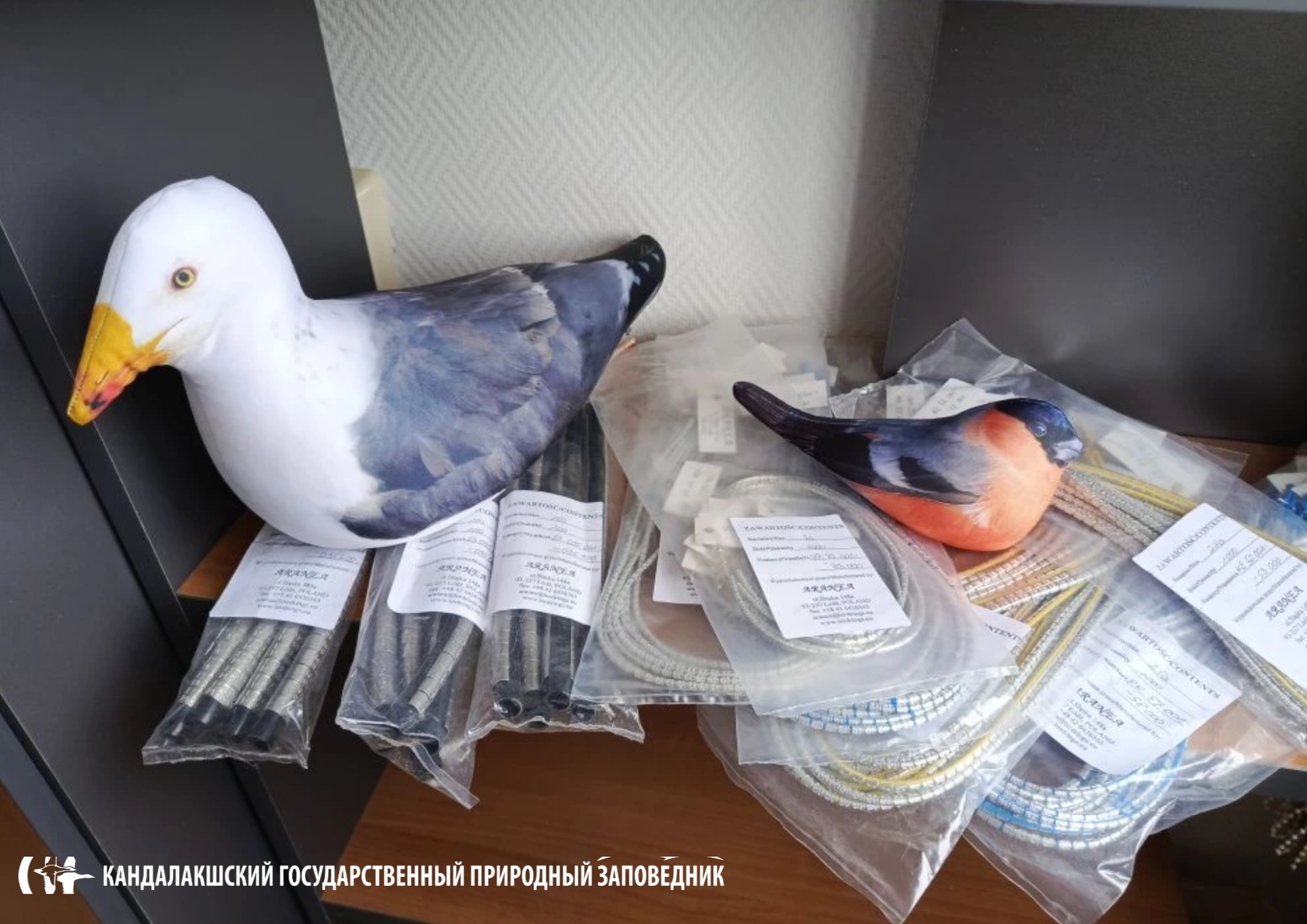 К новому полевому сезону готовы: Кандалакшский заповедник получил 6400 орнитологических колец