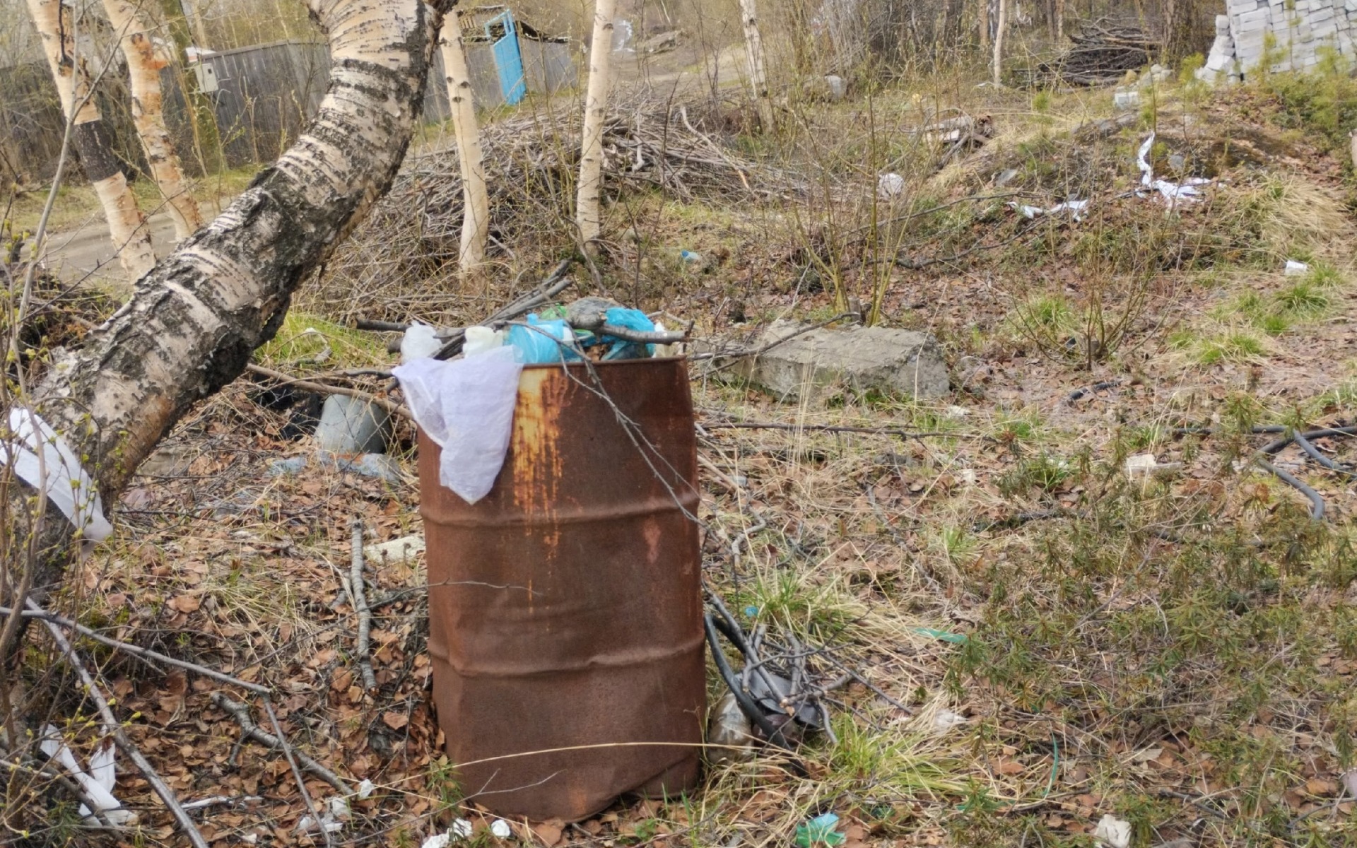 «Люди, что с вами не так?»: в Никеле замусорили родник и лес возле дач в Заречье