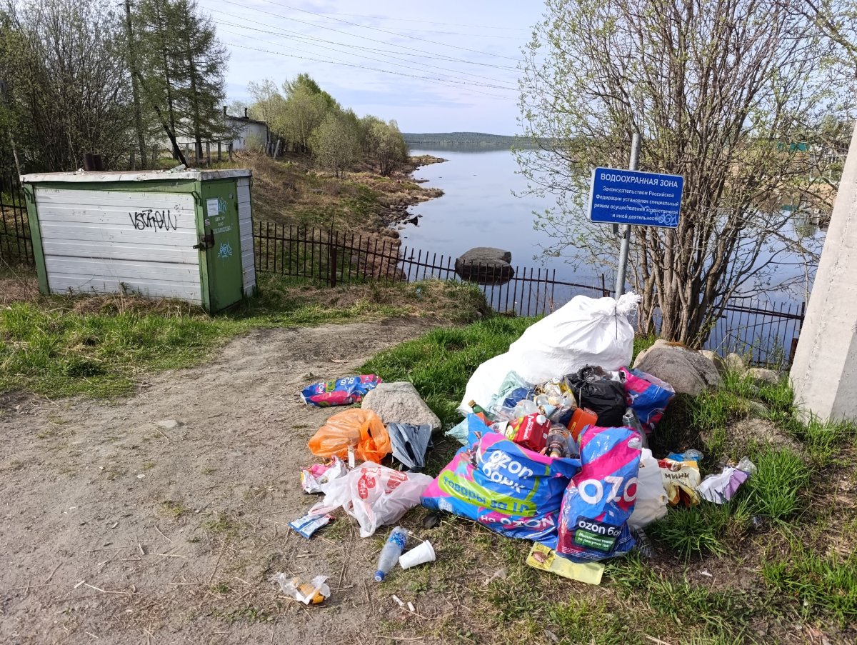 «У них и в душе такой же бардак»: в Апатитах отдыхающие завалили мешками с мусором берег озера