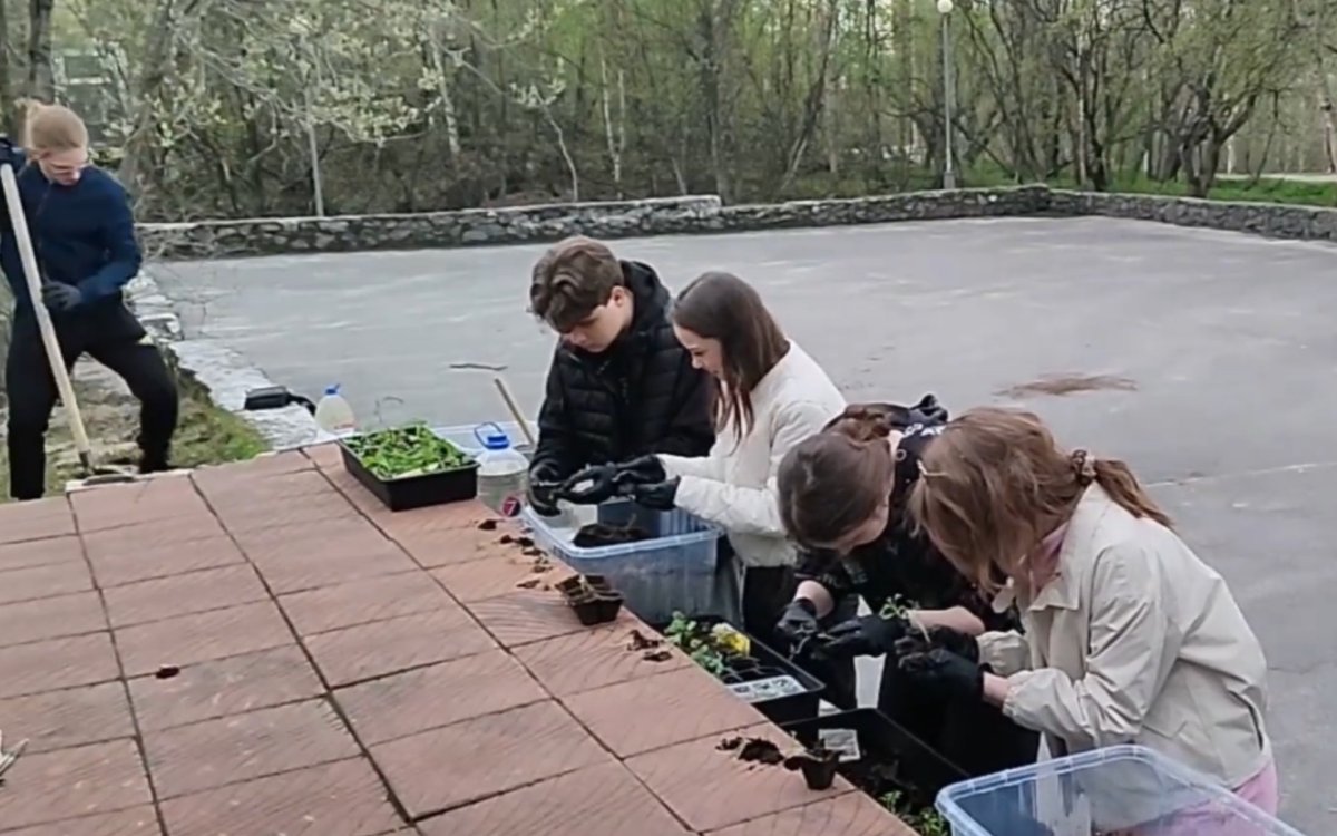 «Весенняя неделя добра»: молодежь Североморска высадила цветы и привела в порядок мемориал на Сивко
