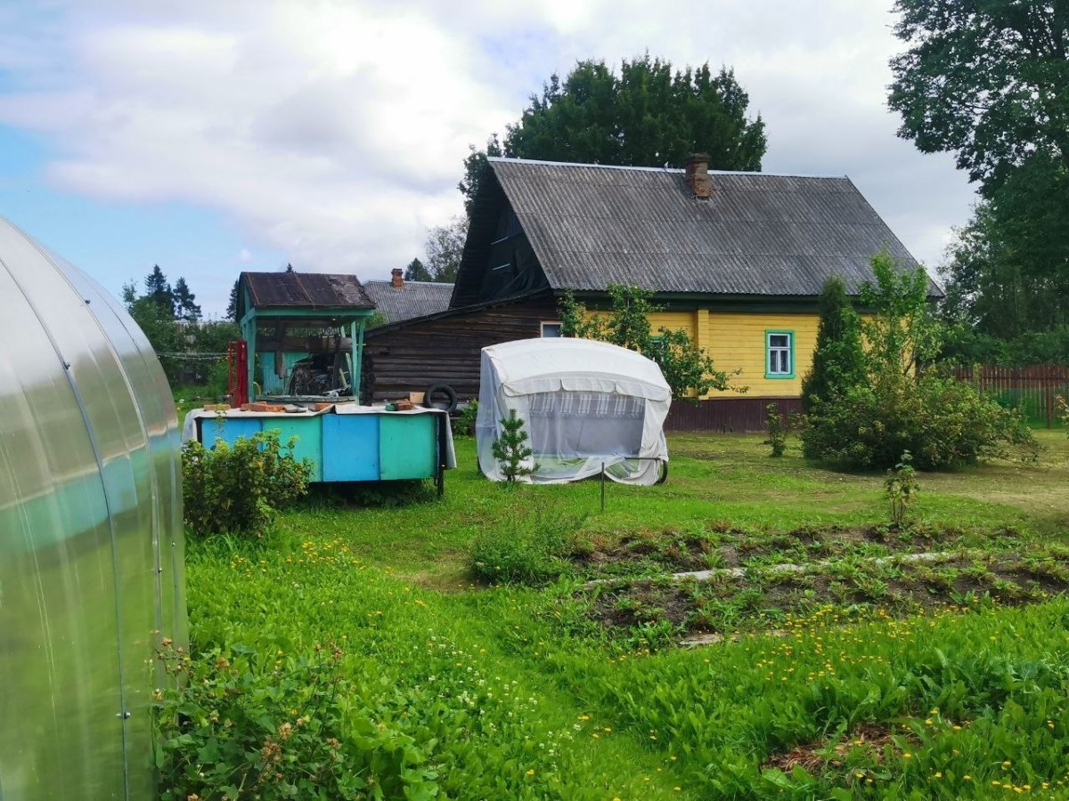 Семейная драма на даче: в Мончегорске муж сломал ревнивой жене ребра и сам вызвал «скорую»