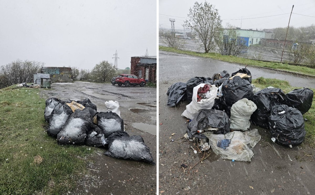 «Можно не убирать?»: в Полярном неделю не вывозят пакеты после субботника